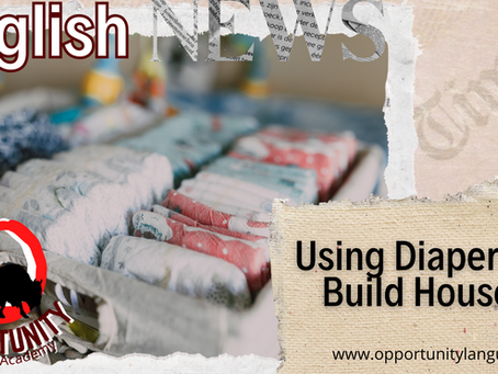 NEWS: Using Diapers to Build Houses